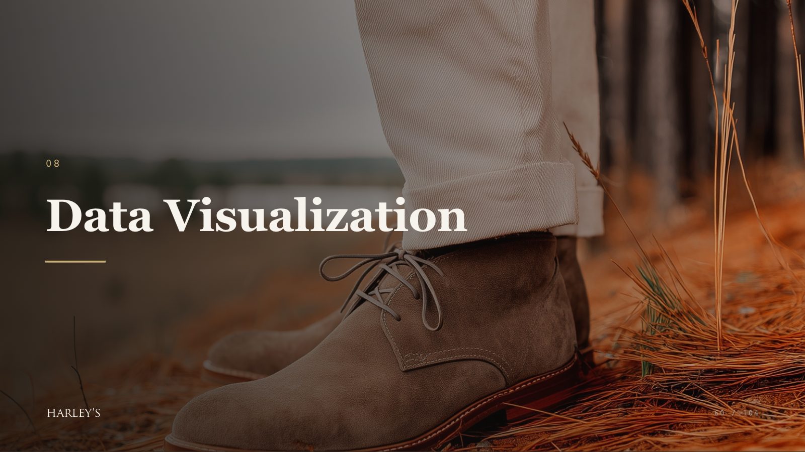 Harley’s brand book slide 61 of 106: Data Visualization